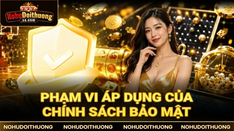 Phạm vi áp dụng chính sách bảo mật trên virtuallyvictoria.co